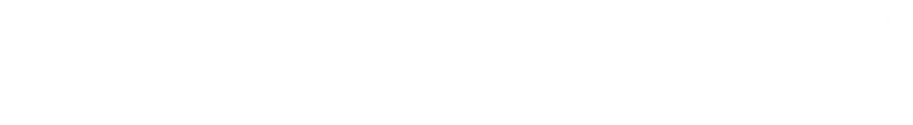 Rockingham Equipment Sales LLC